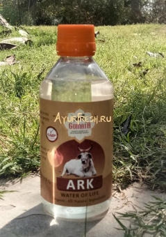 Арк (очищенная коровья моча) 200 мл, Gomata Ark 200 ml